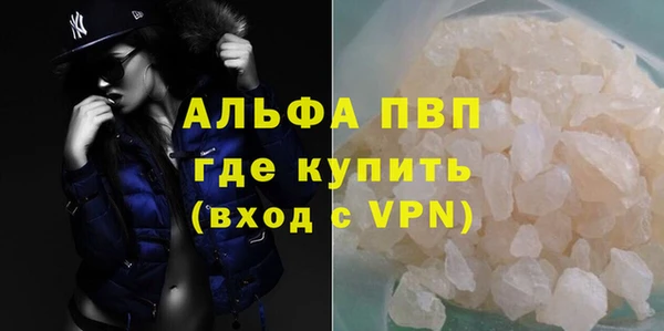мдпв Рославль
